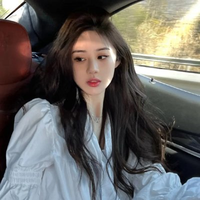 超完美狗保姆